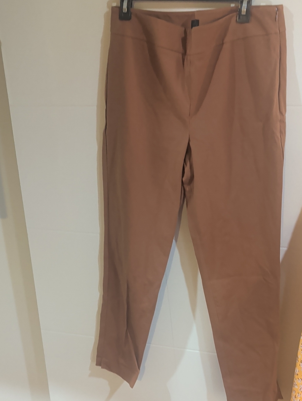 Women's Talbots Brown Chatham Ankle Pants Size 10 NWOT